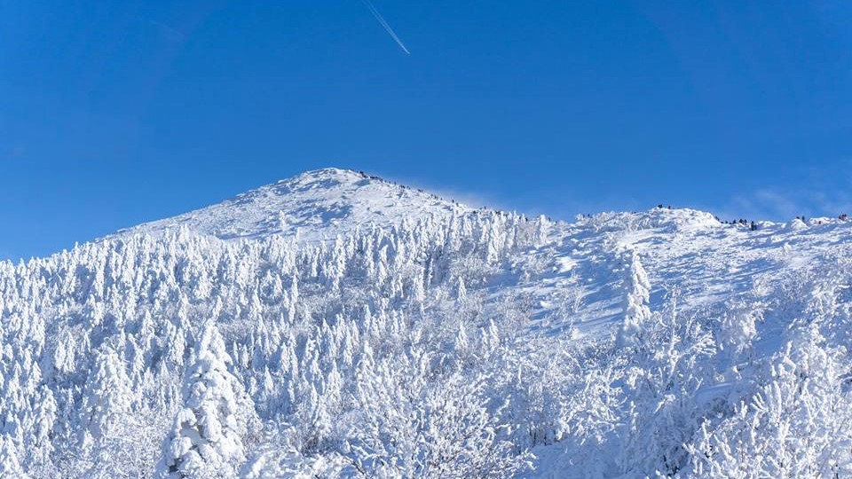 planina_rtanj_pod_snegom_bozicni_uspon_na_rtanj_planinarsko_drustvo_trem_1810